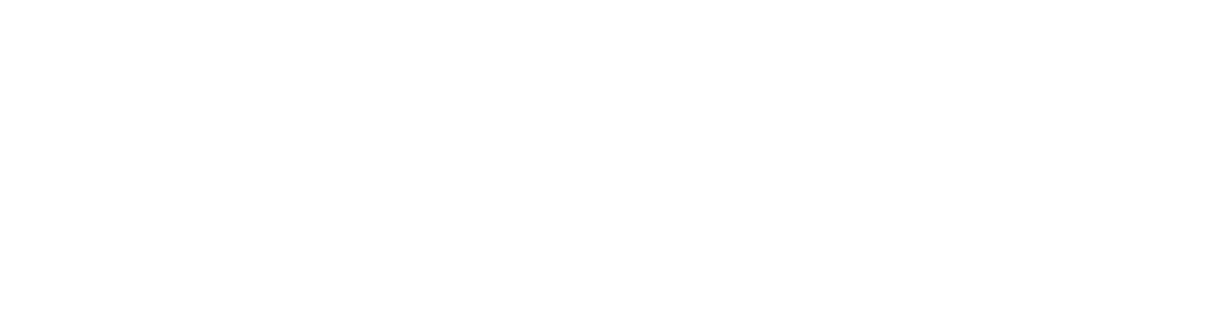 Q&A